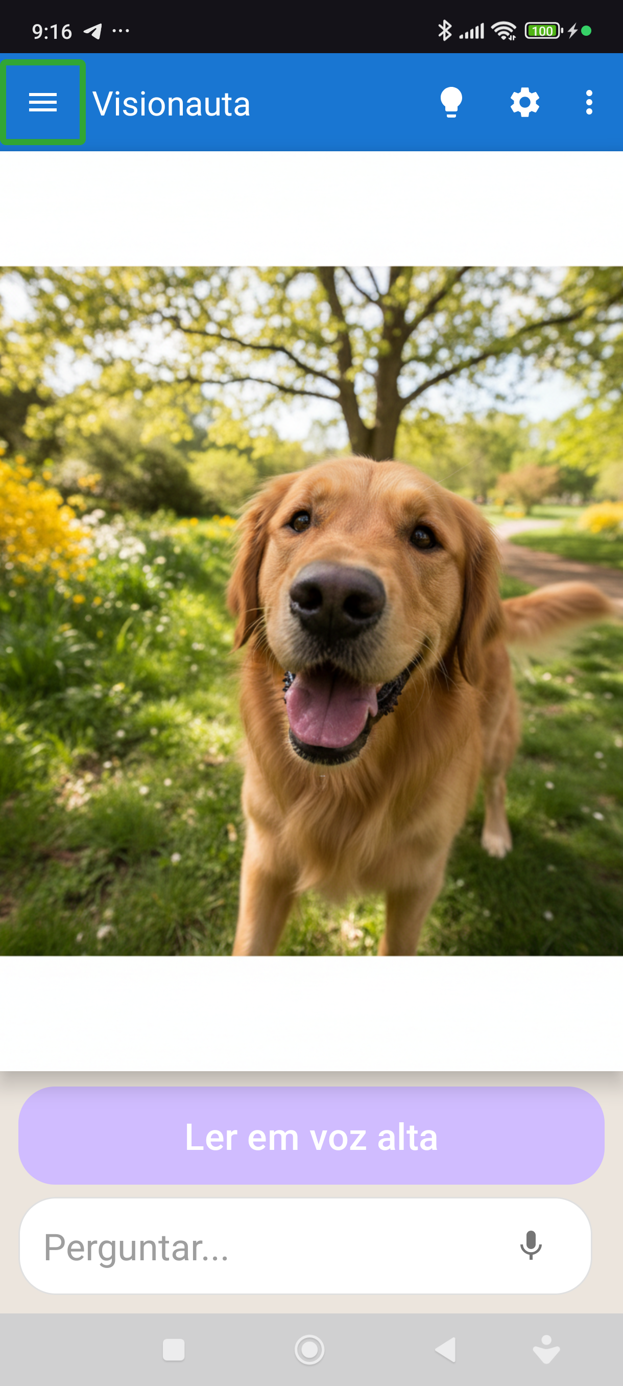 Animal identification